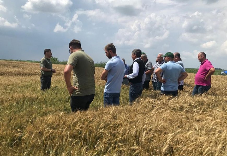 Periodic field visits